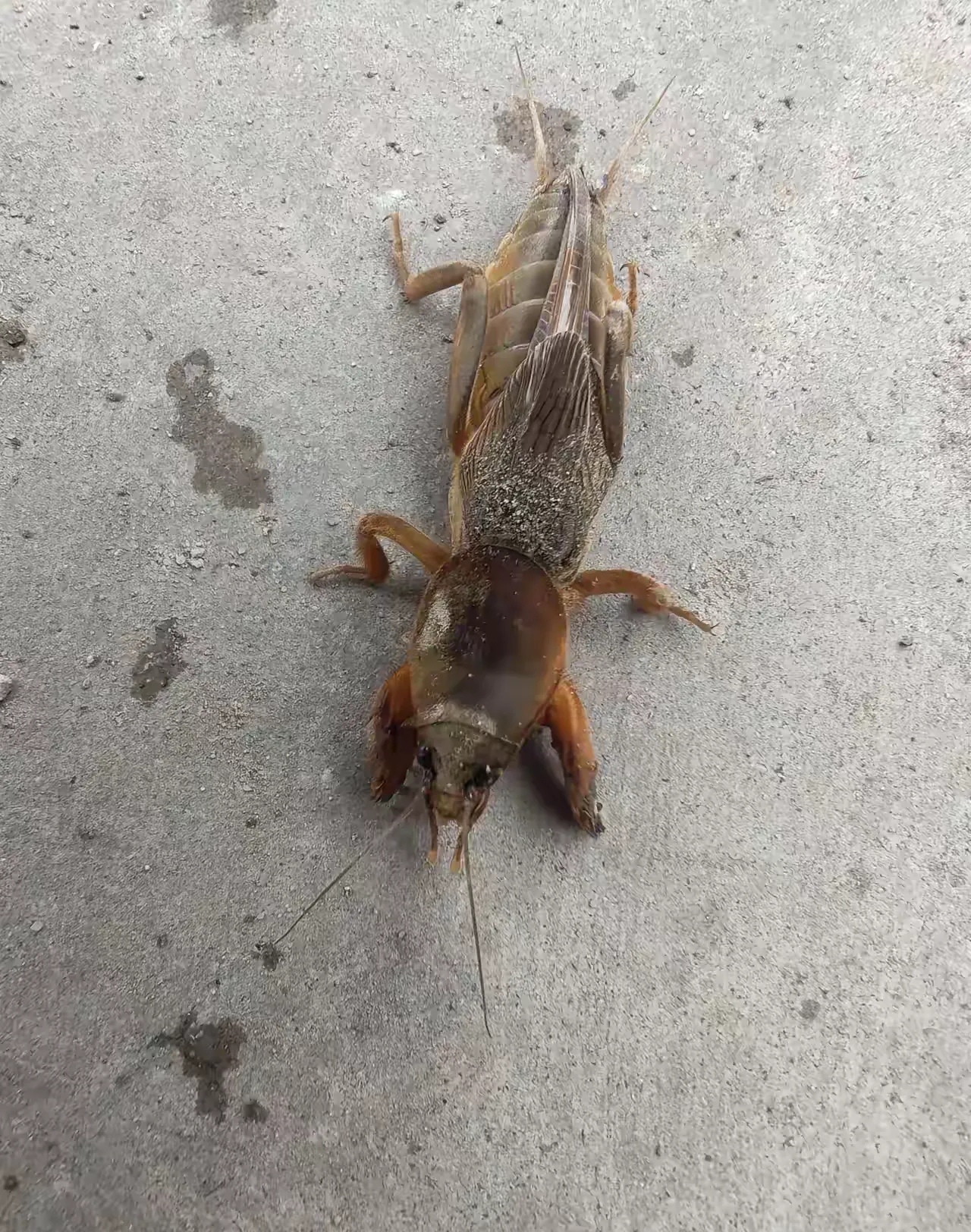 九游平台网站 -蛄┼剤g鋨籆鵡g滌?)o璕]衆"%	??E溚驮N?槒?#;21蛼?礲琒??P拲N^??.?5的简单介绍